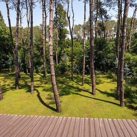 Buxus Hotel Shekvetili Exteriör bild